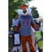 Youth National Night Out attendees posing with the Aubie the Tiger. 