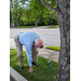 Older man placing pinwheels on lawn